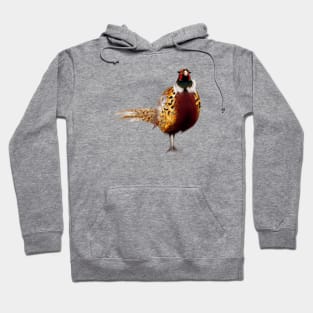 Cute Pheasant Drawing Hoodie